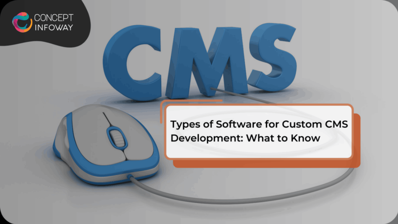 Types of Software for Custom CMS Development: What to Know