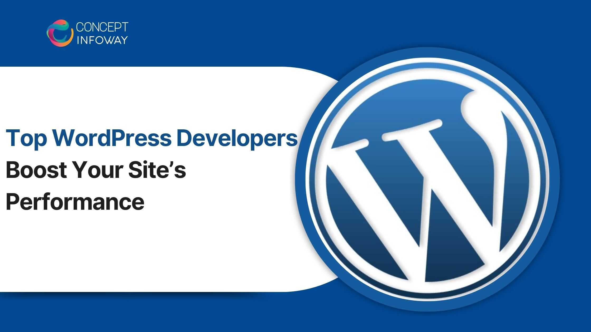 Top WordPress Developers