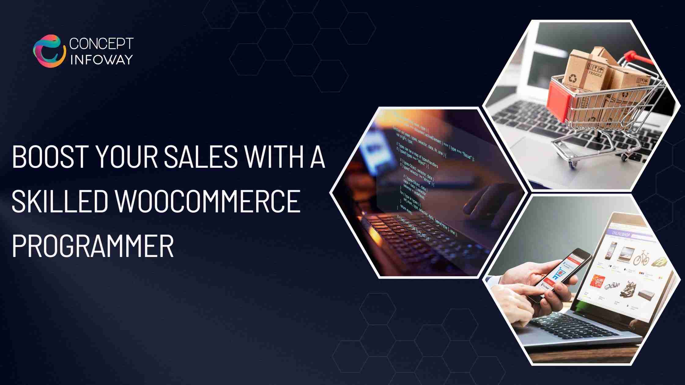 Boost Your Sales with a Skilled WooCommerce Programmer